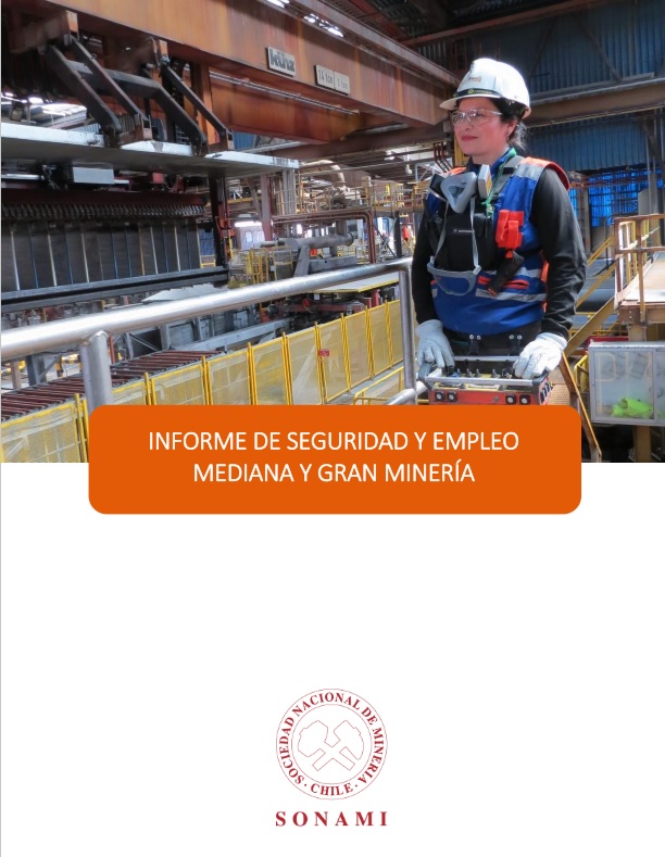 informe_seguridad